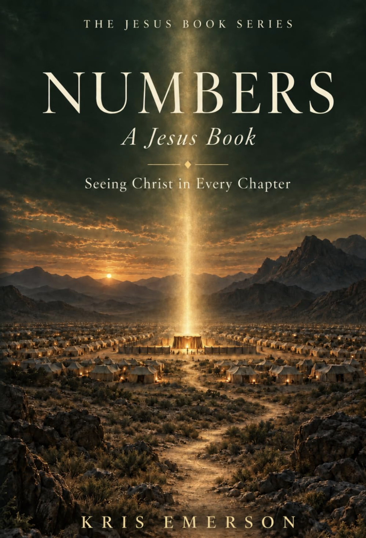Jesus in Numbers book cover