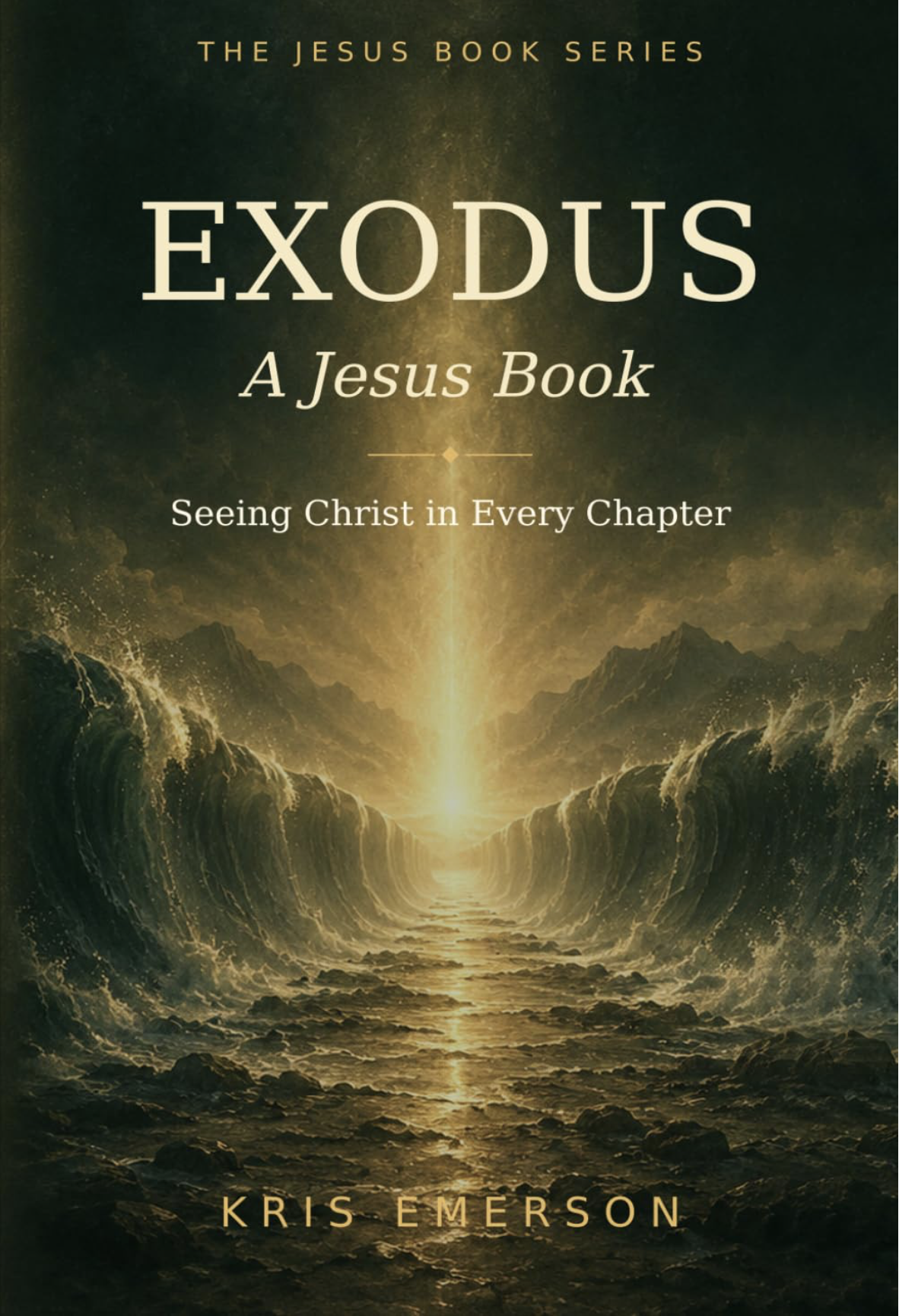 Jesus in Exodus book cover